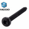 Bout Torx OEM M6x55 | Piaggio / Vespa