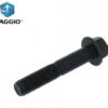 Flensbout OEM M10x55 | Piaggio / Vespa