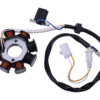 Ontsteking incl. pick-up 2-pins | Div. China Retro scooters (= 320140)