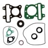 Koppakkingset / Topset incl. rubbers | Piaggio Zip 4T 3V E4 / Zip 4T 3V E5 / Liberty 4T 3V E4 / Liberty 4T 3V E5 - Vespa Sprint 4T 3V E4 / Sprint 4T 3V E5 / Primavera 4T 3V E4 / Primavera 4T 3V E5