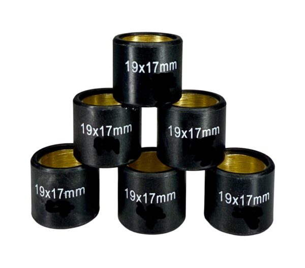 Variateurrolset Magneti Marelli 19x17mm - 6,0gr