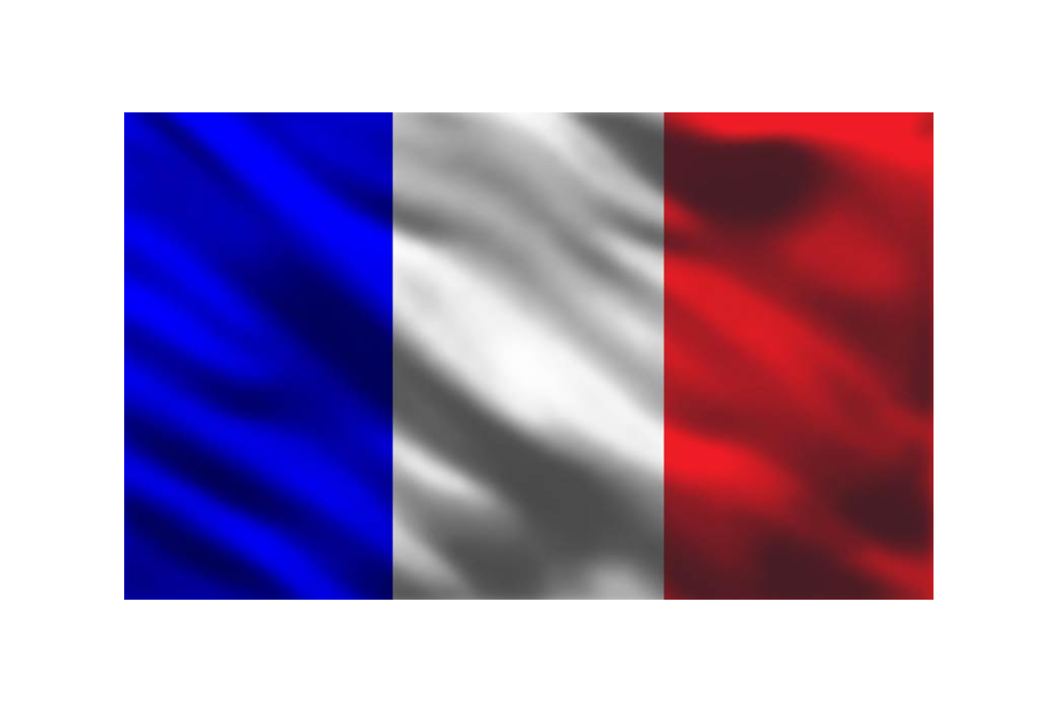 SHIPPING TO FRANCE WITH INSURANCE TRACK &TRAC E